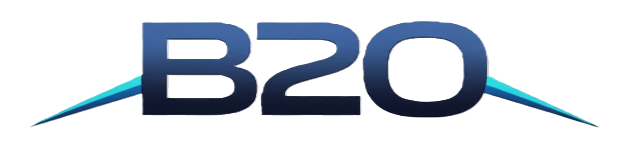 B20